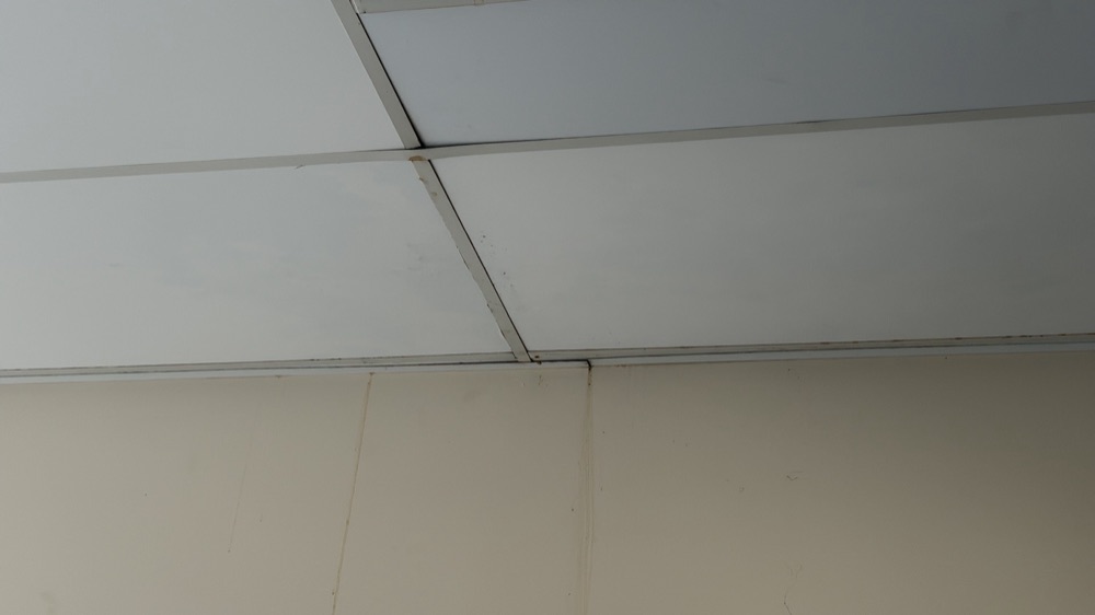 Further staining consistent with a recent leak, noted during a building and pest inspection in Deer Park, in Melbourne's west