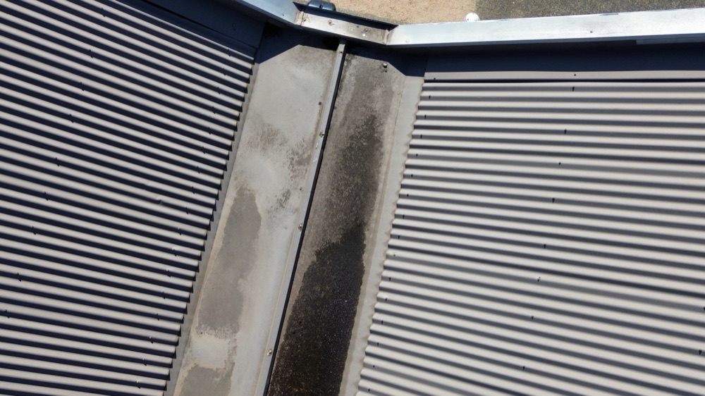 Water ponding held near the building, noted during a building and pest inspection in Deer Park, in Melbourne's west