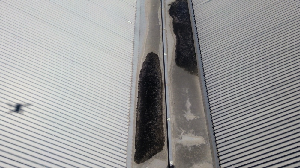 Pre-Purchase Building Inspections in Melton South